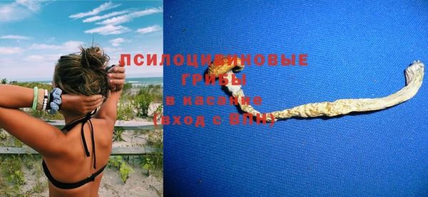 крисы Касимов