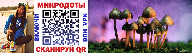 Купить  Каменск-Уральский  Псилоцибиновые грибы MAGIC MUSHROOMS 